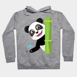 Cute panda and snowflake Hoodie